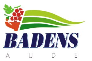 Logo COMMUNE DE BADENS