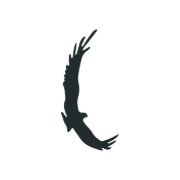 Logo COMMUNE DE BELGODERE