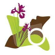 Logo COMMUNE DE BELLENGREVILLE