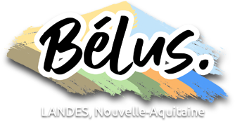 Logo COMMUNE DE BELUS