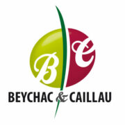 Logo COMMUNE DE BEYCHAC ET CAILLAU