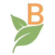 Logo COMMUNE DE BOR ET BAR