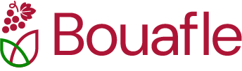 Logo COMMUNE DE BOUAFLE