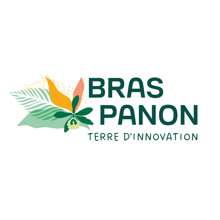 Logo COMMUNE DE BRAS PANON