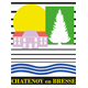 Logo COMMUNE DE CHATENOY EN BRESSE