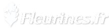 Logo COMMUNE DE FLEURINES