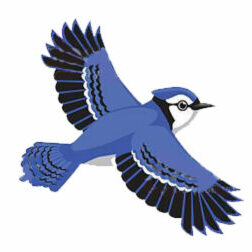 Logo COMMUNE DE GEAY