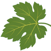 Logo COMMUNE DE GINESTET