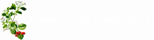 Logo COMMUNE DE HAUTE EPINE
