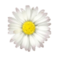 Logo COMMUNE DE LA TAILLEE