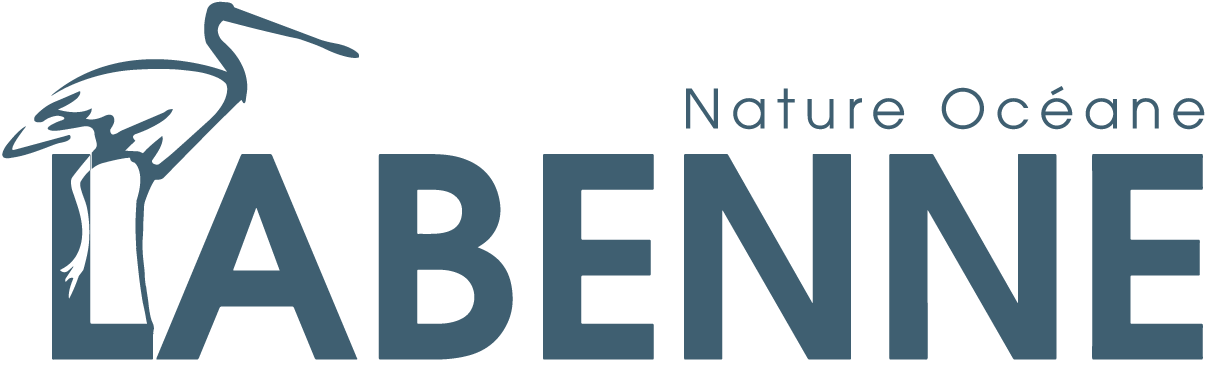 Logo COMMUNE DE LABENNE