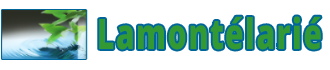 Logo COMMUNE DE LAMONTELARIE