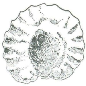 Logo COMMUNE DE LANGE
