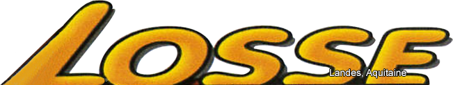 Logo COMMUNE DE LOSSE