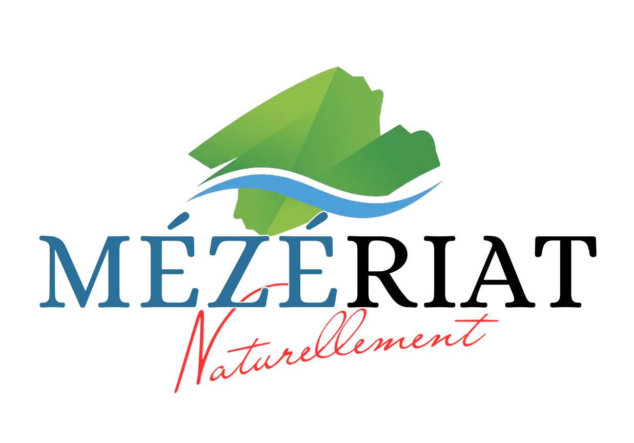 Logo COMMUNE DE MEZERIAT