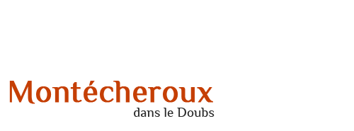Logo COMMUNE DE MONTECHEROUX