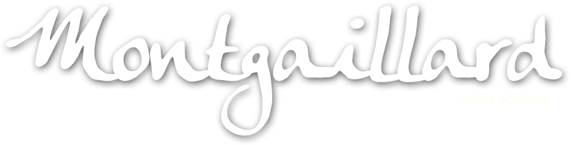 Logo COMMUNE DE MONTGAILLARD