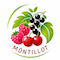 Logo COMMUNE DE MONTILLOT