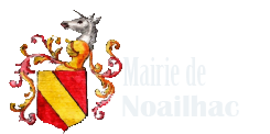 Logo COMMUNE DE NOAILHAC