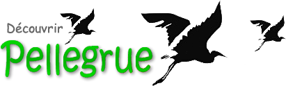 Logo COMMUNE DE PELLEGRUE