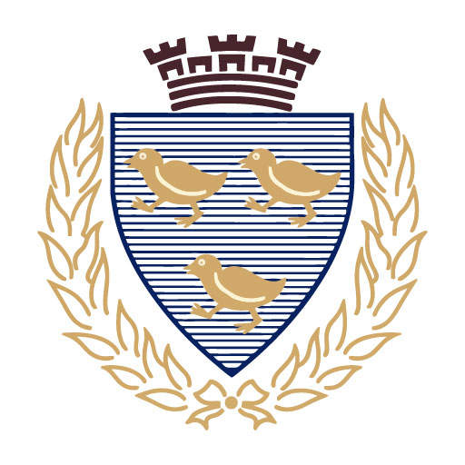 Logo COMMUNE DE PEPIEUX