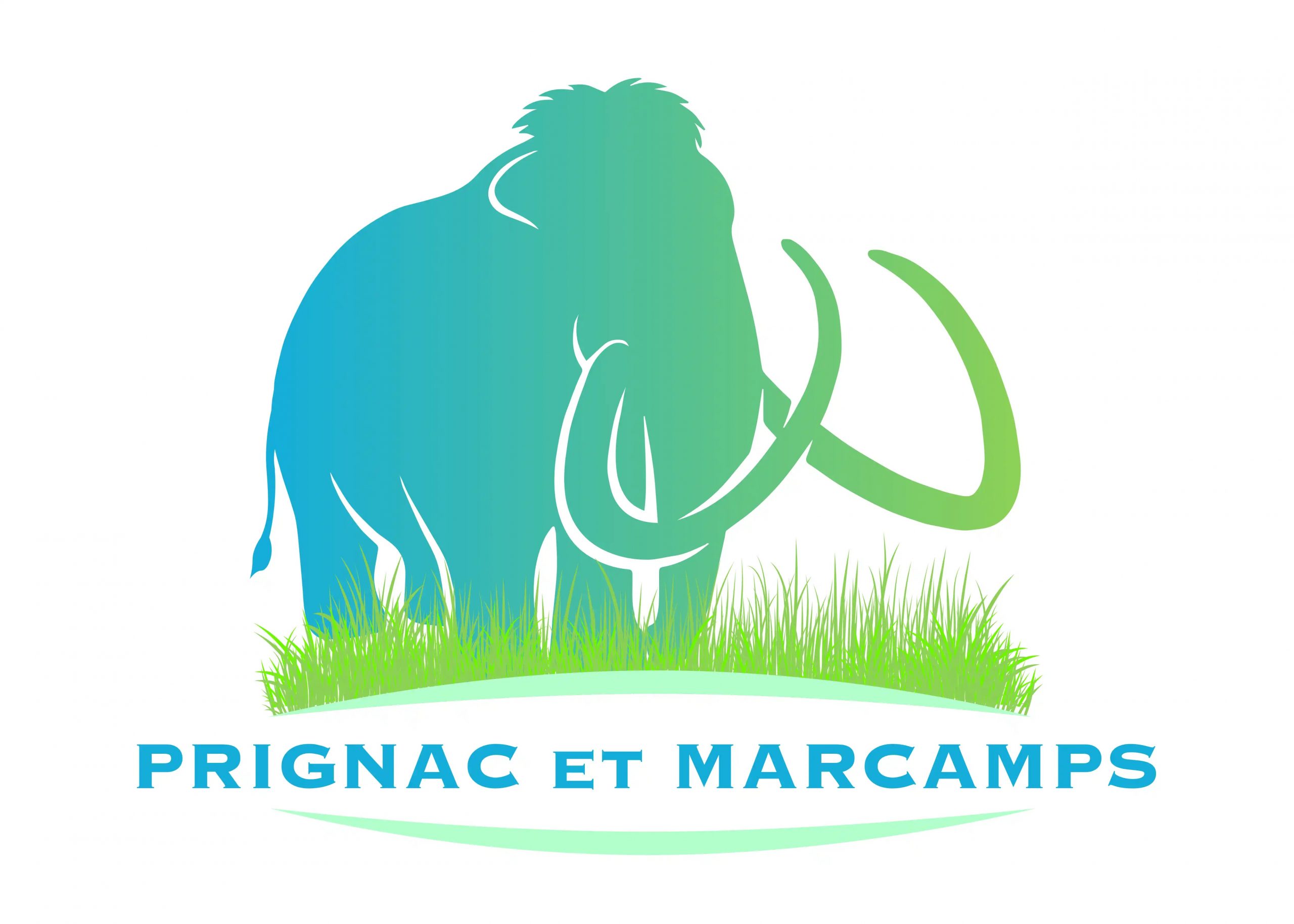 Logo COMMUNE DE PRIGNAC ET MARCAMPS