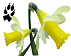 Logo COMMUNE DE PRIMARETTE