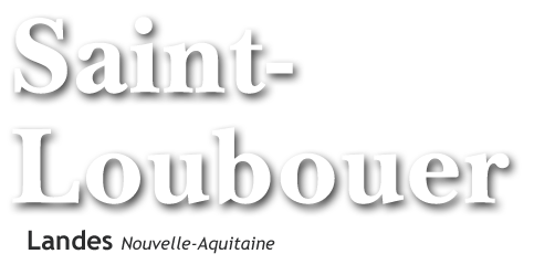 Logo COMMUNE DE SAINT LOUBOUER