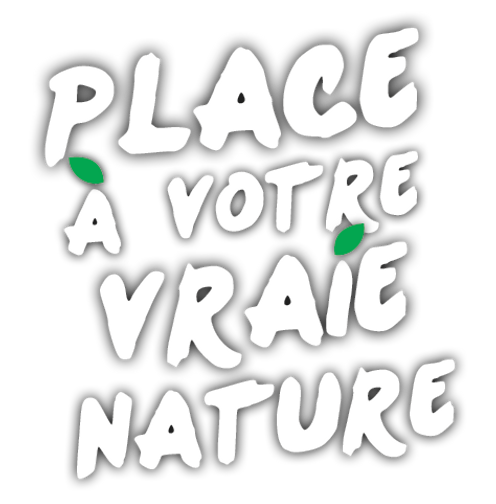 Logo COMMUNE DE SAINT PIERRE DE TRIVISY