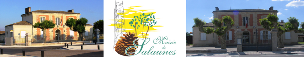 Logo COMMUNE DE SALAUNES