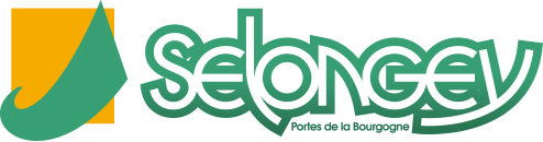 Logo COMMUNE DE SELONGEY