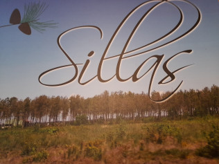 Logo COMMUNE DE SILLAS
