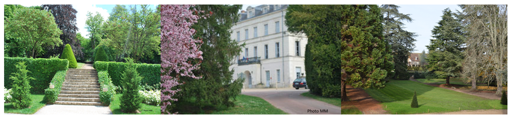 Logo COMMUNE DE THESEE