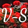 Logo COMMUNE DE VIELLE SOUBIRAN