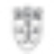Logo COMMUNE DU GRAND BORNAND
