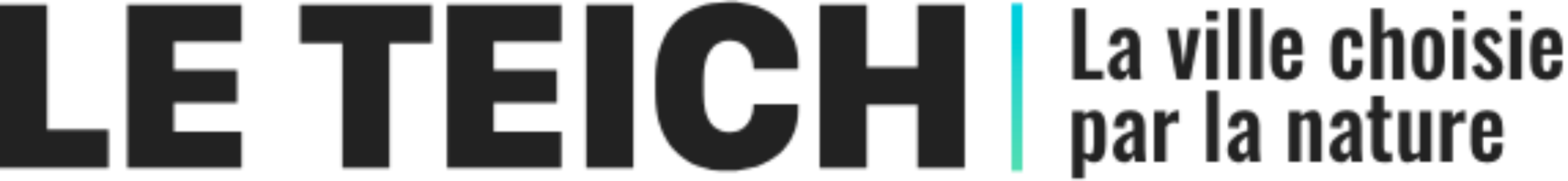 Logo COMMUNE DU TEICH