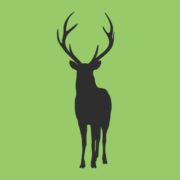 Logo COMMUNE PONTCARRE