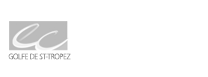 Logo COMPTABILITE, GESTION, FINANCES, EXPERTISE DU GOLFE DE SAINT TROPEZ CGFE (FINANCEA) (CGFE)
