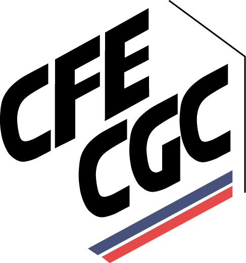 Logo CONFEDERATION FRANCAISE ENCADREMENT CGC (CFE CGC)