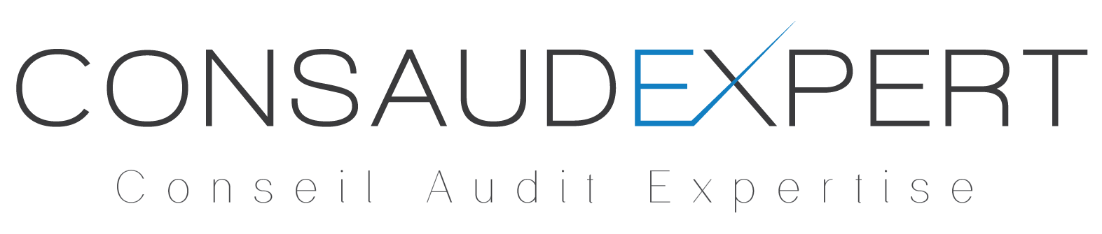 Logo CONS@UDIT EXPERTS