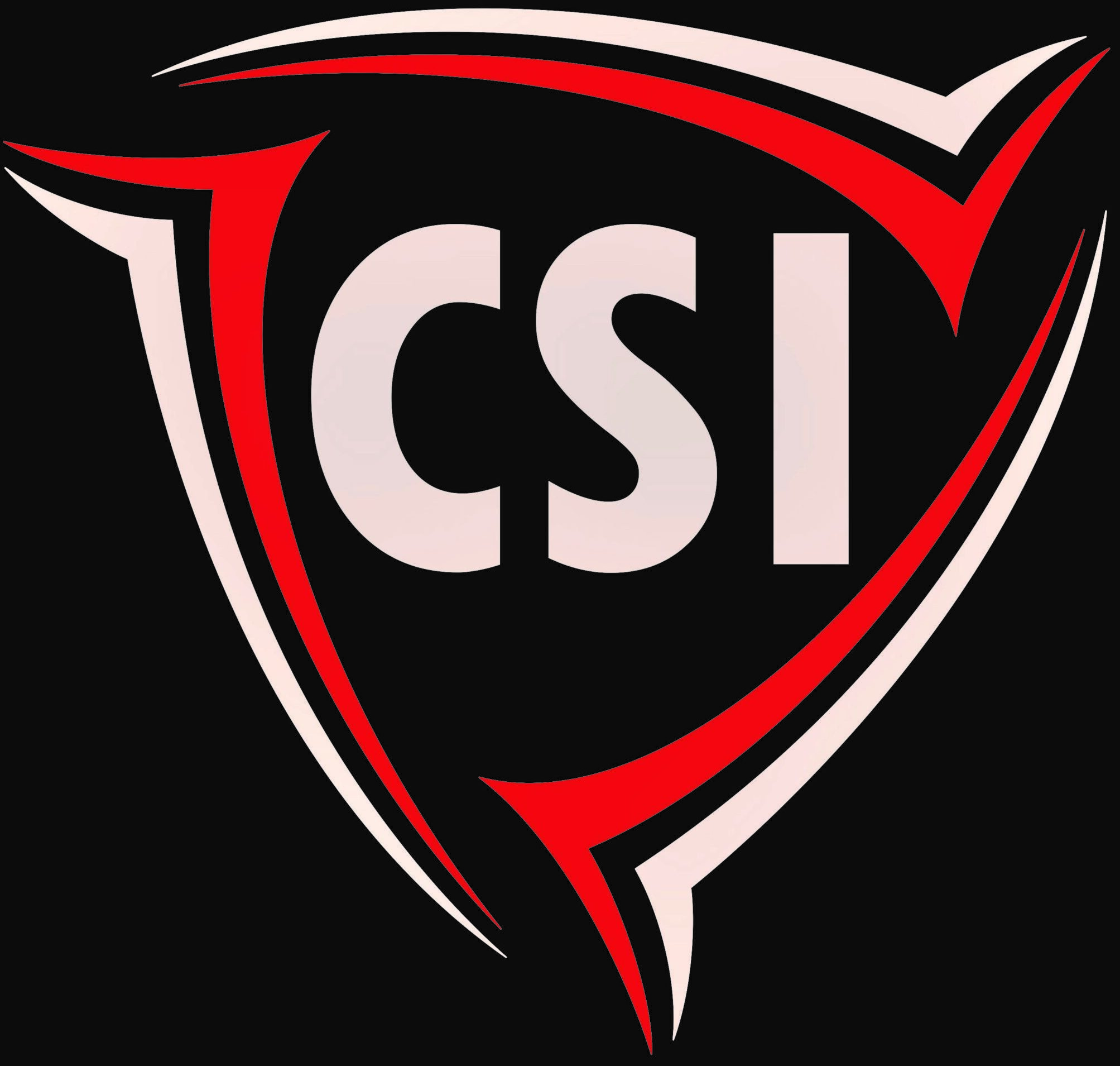 Logo CONSEIL SECURITE INTERVENTION (CSI SECURITE) (CSI)