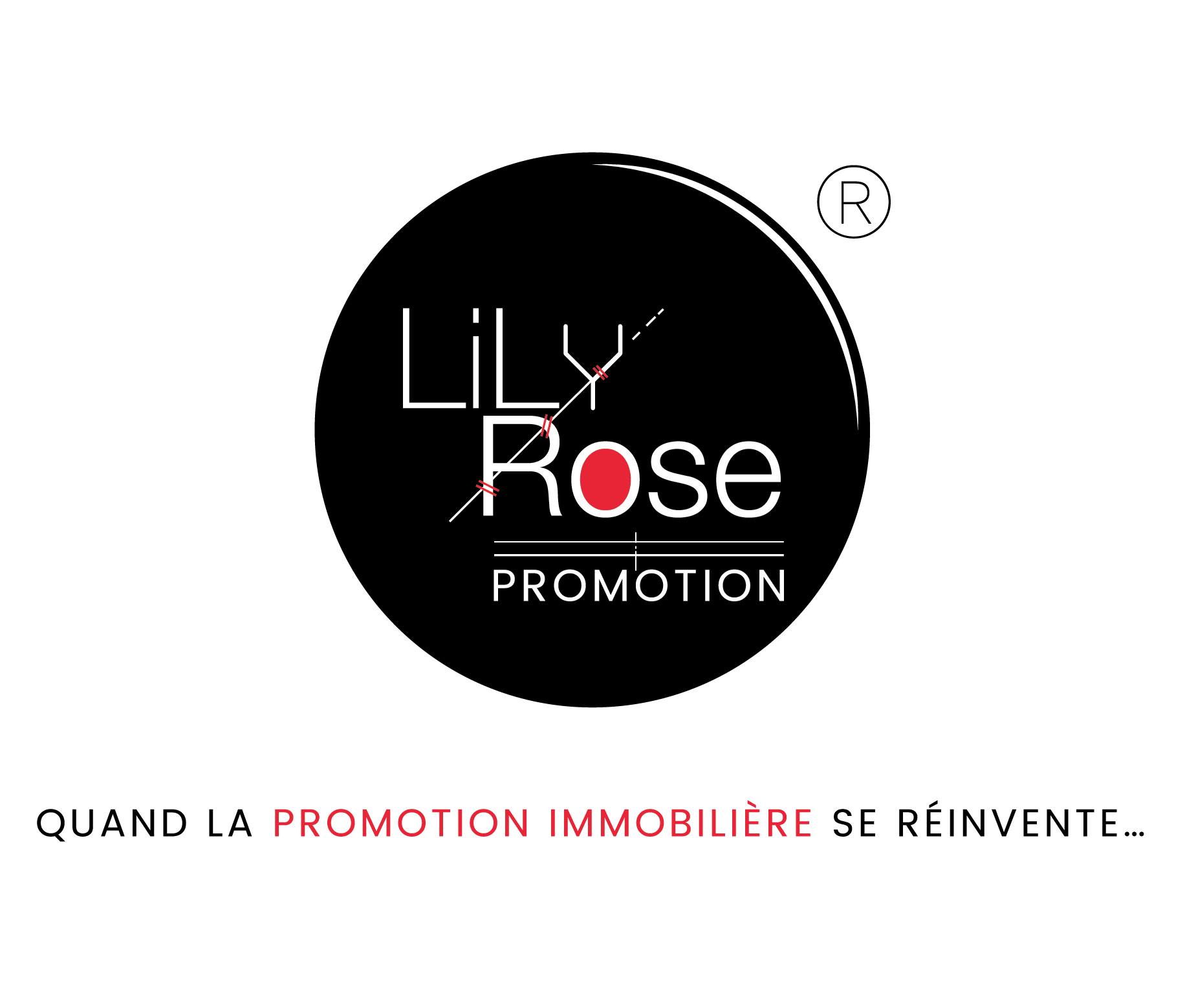 Logo CONSEILS ET PATRIMOINE (ENTRE TERRAINS ; LILY-ROSE PROMOTION)