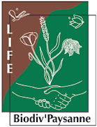 Logo CONSERVATOIRE BOTANIQUE PYRENEEN