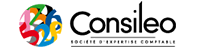 Logo CONSILEO (CONSILEO)