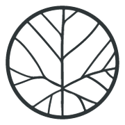 Logo CONSTELLATION