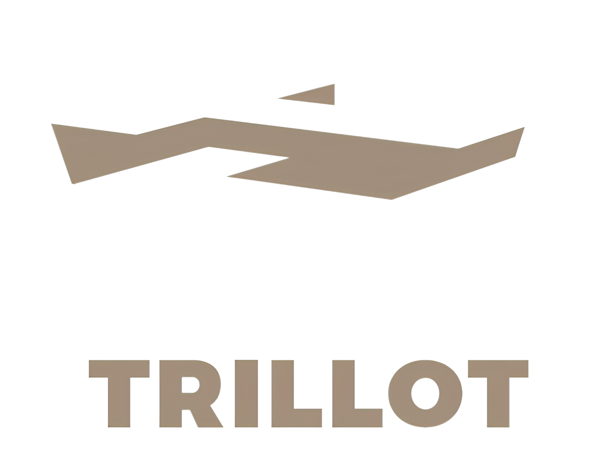 Logo CONSTRUCTIONS TRILLOT