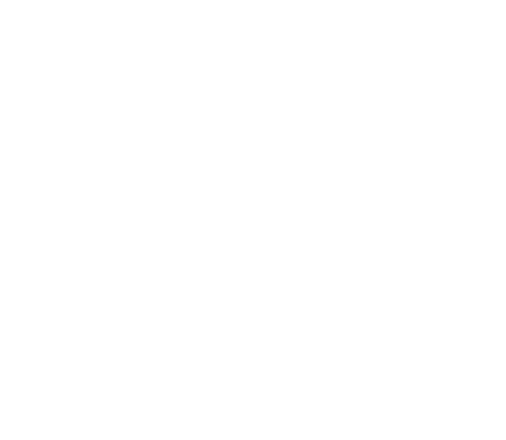 Logo COURTAZUR