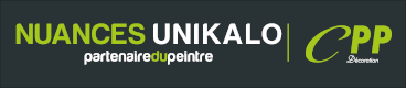 Logo CPP DECORATION