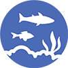 Logo CREOCEAN