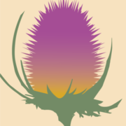 Logo CTRE ACTION REG DEVEL EDUCA REL ENVIRO (C A R D E R E)